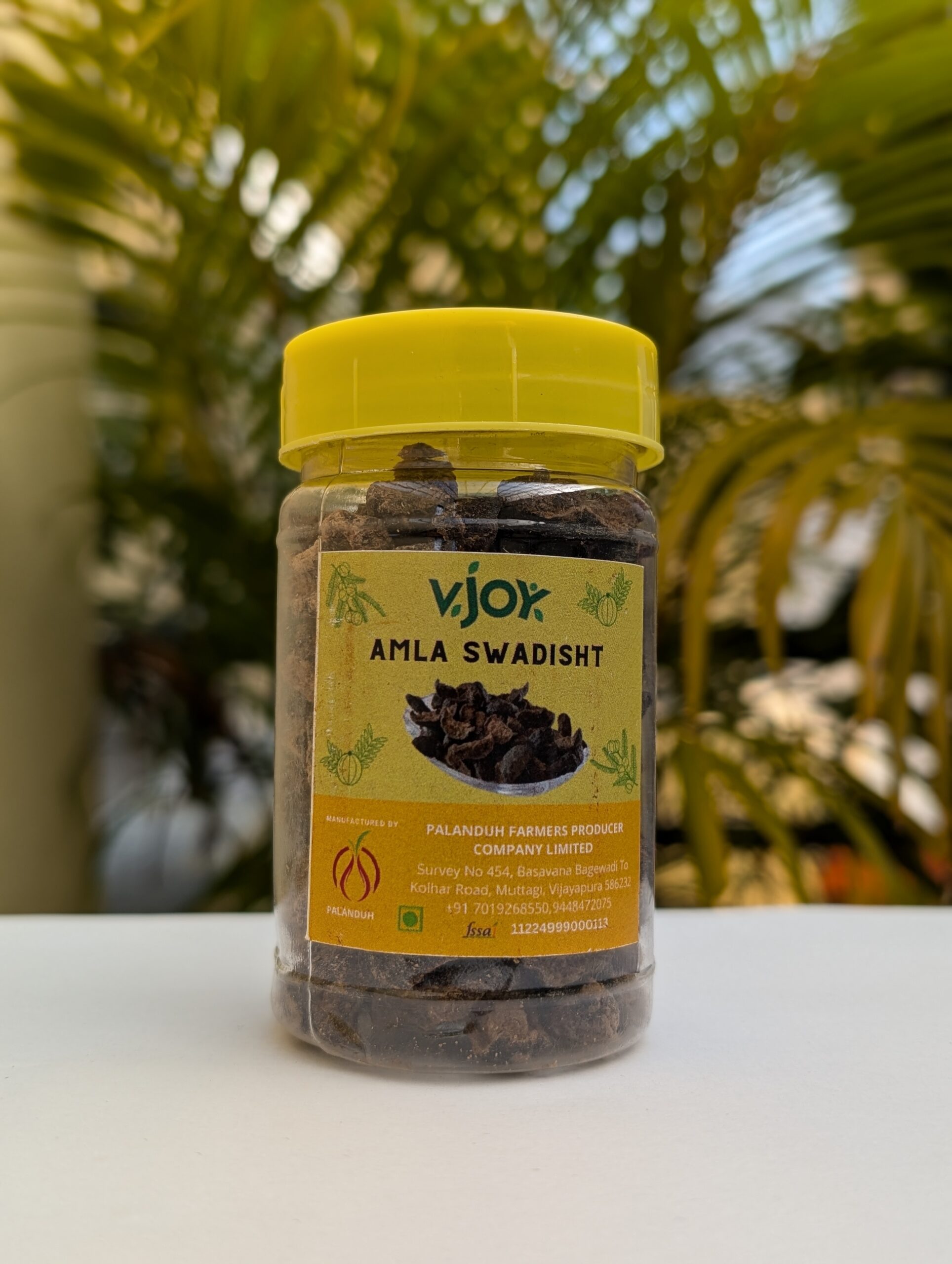 PXL_20241002_024014207.PORTRAIT