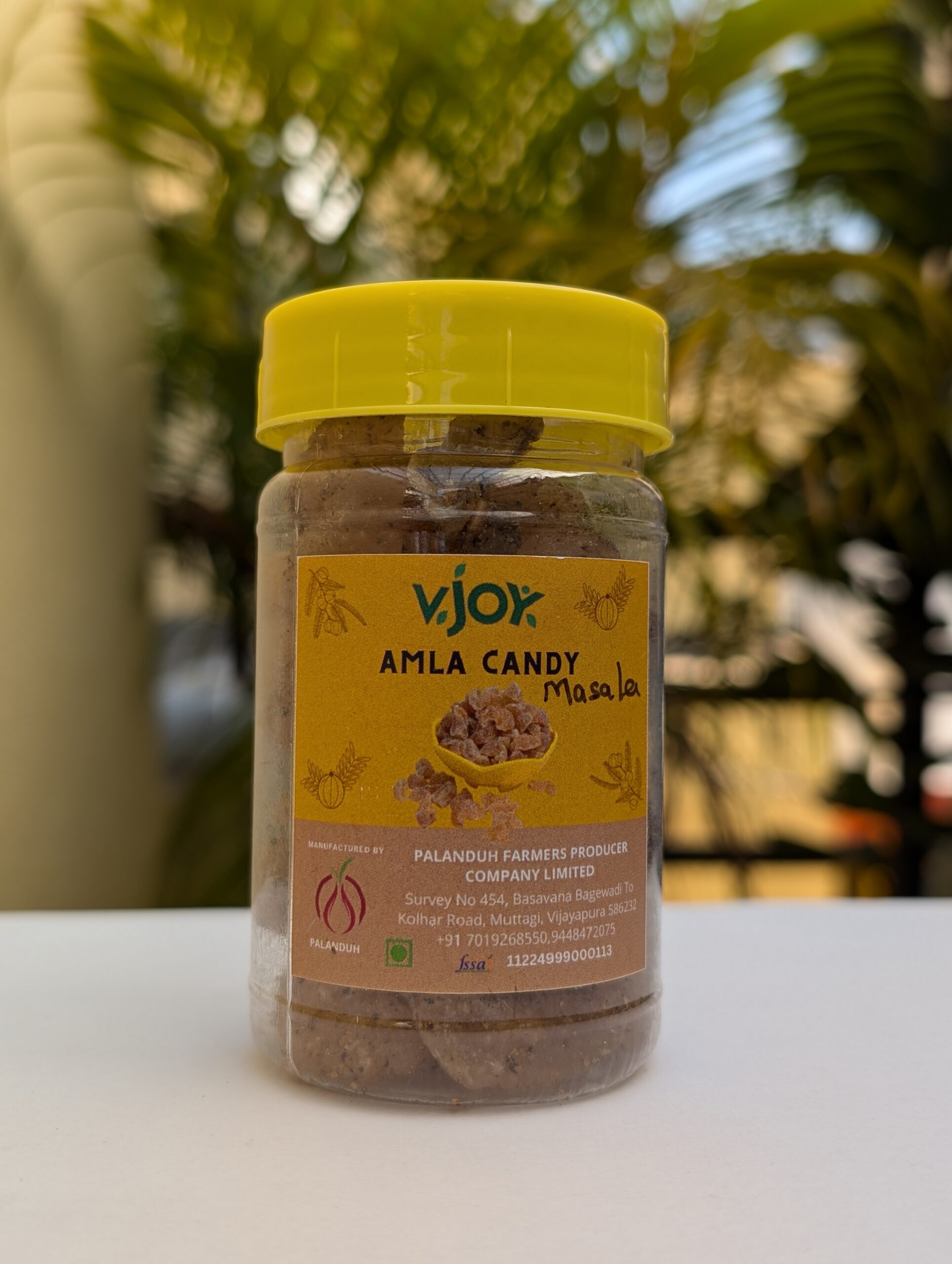 PXL_20241002_024239471.PORTRAIT.ORIGINAL