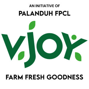 Vjoy